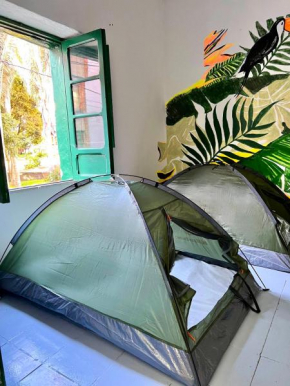 Camping in the city